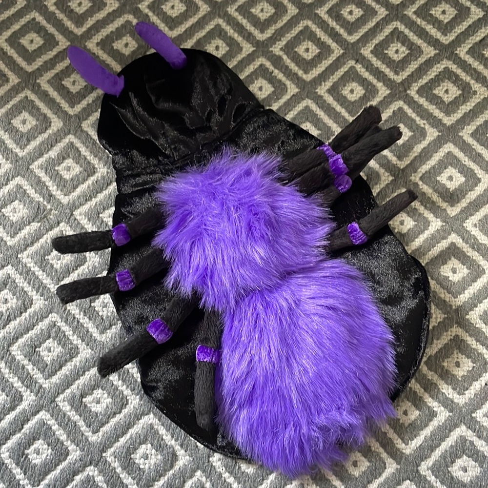 Very gently worn! Spider dog costume